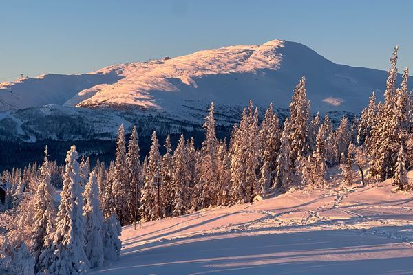 Studio Svartbygget - Bild 35