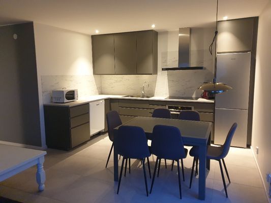 Fulltrustat kök, vardagsrum i gästhuset.