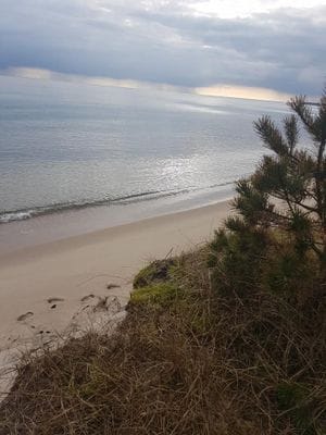 Ystad Sandskogen - Bild 17