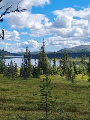 Stuga i Högvålen, Sveriges högst belägna by - Bild 3