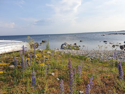 Bild från uddens spets, ca 600m från huset