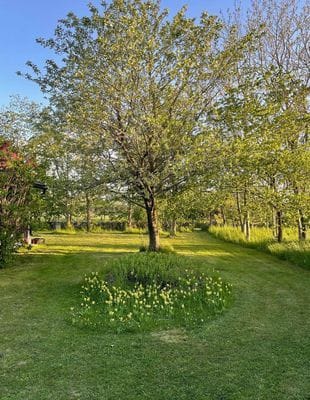 Stuga vid Össby med havsutsikt och enskilt läge - Bild 24
