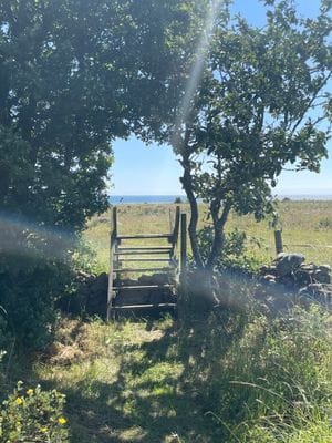 Stuga vid Össby med havsutsikt och enskilt läge - Bild 25