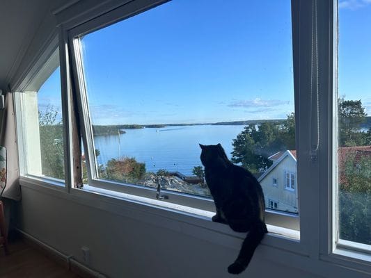 Fruvik Värmdö. Villa med havsutsikt nära strand - Bild 24