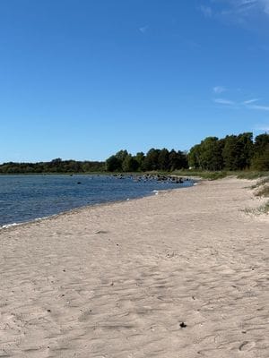 Gästhus, som nytt, i Björkhaga, Gotland uthyres . - Bild 12