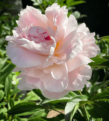 Underbart hus med egen sandstrand (ca 14 pers) - Bild 42