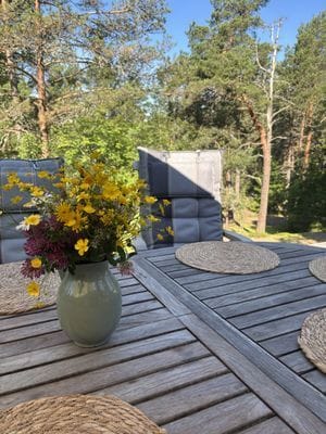 Modern och mysig stuga i skogen - Bild 11