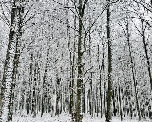 Familjevänligt rymligt hus vid sjö och skog. - Bild 31