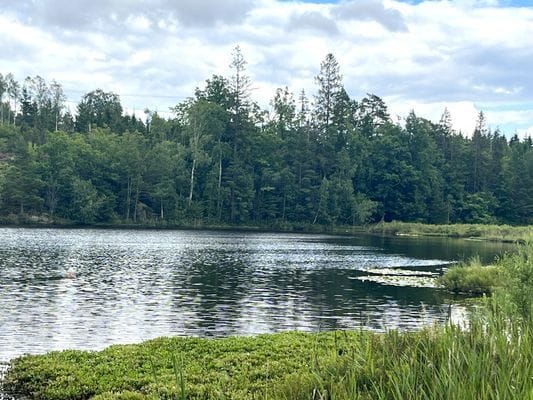 Familjevänligt rymligt hus vid sjö och skog. - Bild 4