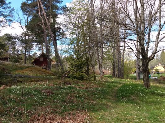 Enkel och charmig stuga på Vätö - Bild 5