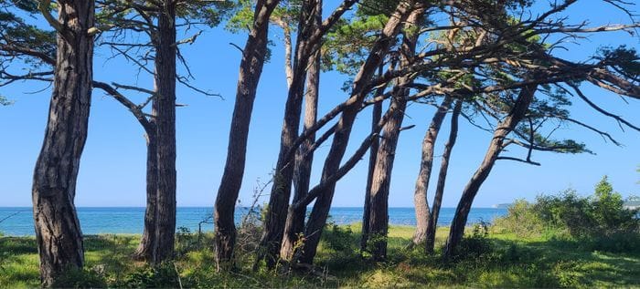 60-talets sköna sommarhem i Ireviken. - Bild 13
