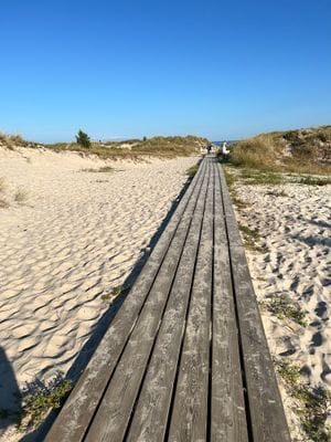 Mysig skånelänga på Österlen - Bild 29