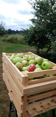 Naturskön och lantlig idyll mellan sjöar. - Bild 46