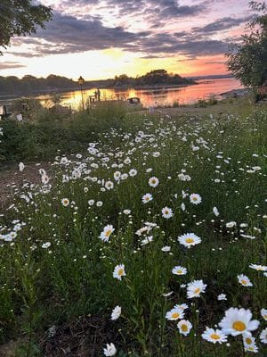 Hus på egen Ö - Bild 11