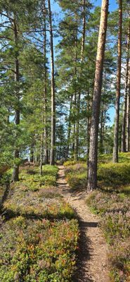Ett genuint hus med hjärta, nära sjön & kanot - Bild 17