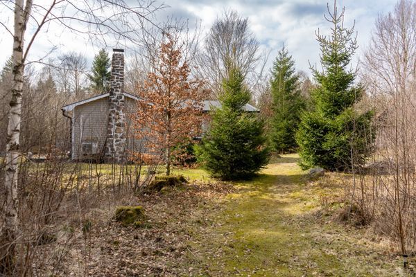 Stuga mitt i skogen - Bild 2