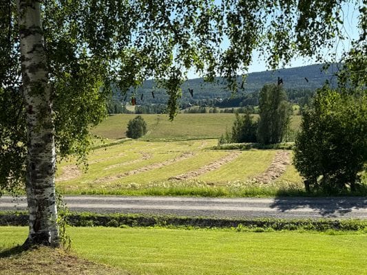 Bo på gård nära världsarvet och Höga Kusten! - Bild 9