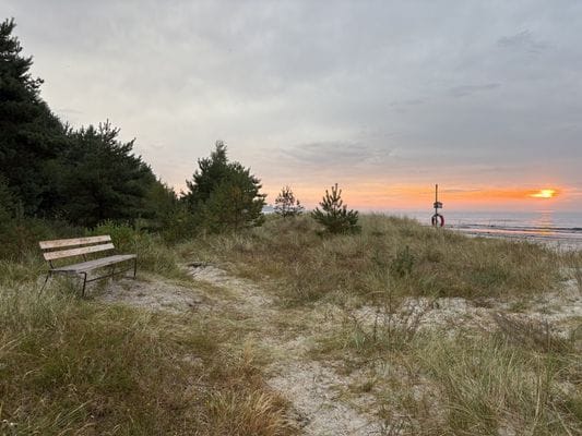 Österlenidyll i Skillinge - 350 meter från havet - Bild 46