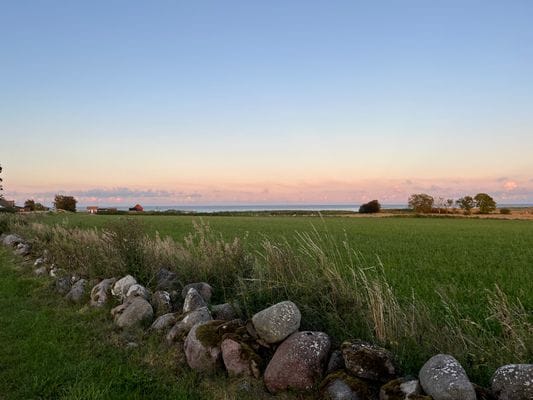 Strandnära ölandsidyll vid havet - Bild 28