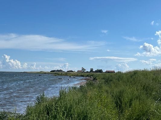 Strandnära ölandsidyll vid havet - Bild 22