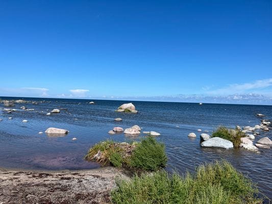 Strandnära ölandsidyll vid havet - Bild 27