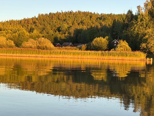 Charmigt torp vid Ellenesjön - Bild 35