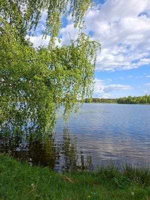 Toppmodernt fritidsboende - Bild 24