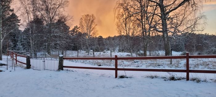 Året runt stugor på Singö i Roslagen