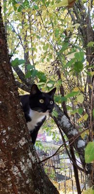 Naturskön och lantlig idyll mellan sjöar. - Bild 60