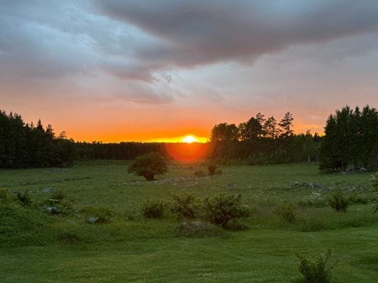 Torp på landet med närhet till naturliv och sjö. - Bild 3