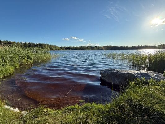 Torp på landet med närhet till naturliv och sjö. - Bild 11