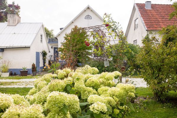 Snickeboa i Kräklingbo på Channel 1 gård - Bild 14