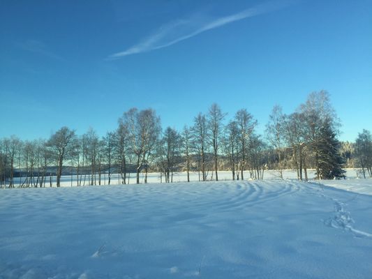 Underbart hus med egen sandstrand (ca 14 pers) - Bild 33