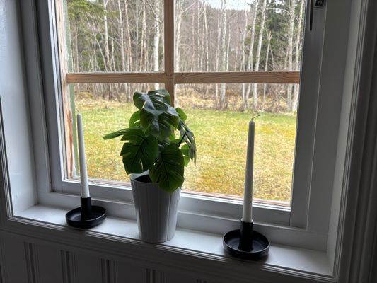 Bo med skogen som granne, ski-in, ski-out! - Bild 11