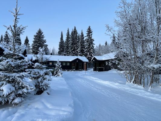 Bo med skogen som granne, ski-in, ski-out! - Bild 2
