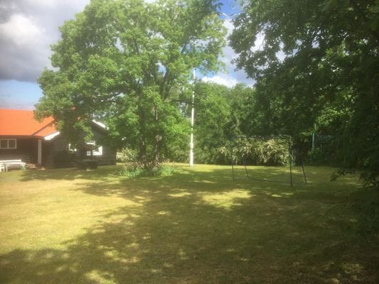 Trädgårdsbild från baksidan