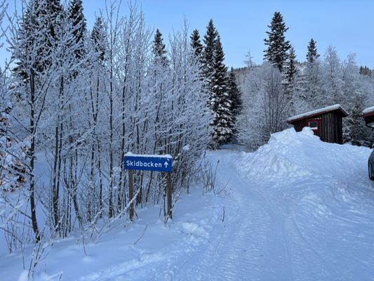 Bo med skogen som granne, ski-in, ski-out! - Bild 3