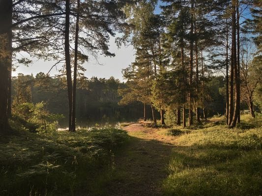 Otroligt vackert beläget hus på Malma, Värmdö. - Bild 41