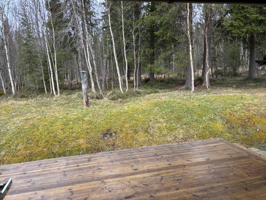 Bo med skogen som granne, ski-in, ski-out! - Bild 25