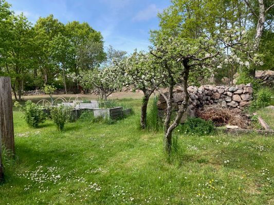 Havsnära Ateljebyggnad - Bild 4