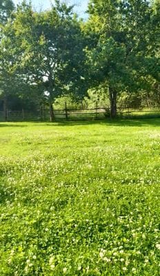 Stort hus i härlig Mälby - Bild 20
