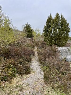 Hyr en egen Borg i Stockholms skärgård - Bild 47