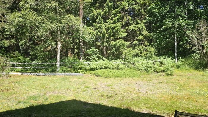 Fridfullt boende nära hav och skog | SE09158 - Bild 24