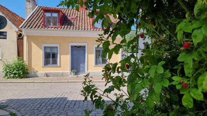 Visby innerstad, Gotland v 29, hund ok