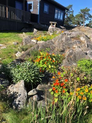 Käringholmen Gränö - Bild 18