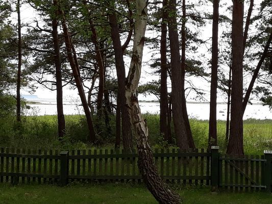 Stuga med havsutsikt i Kovik - Bild 2