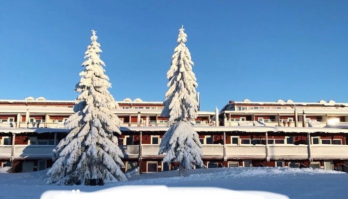 Fira jul på Sälens Högfjällshotell - Bild 5