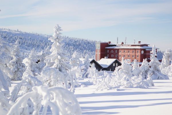 Fira jul på Sälens Högfjällshotell - Bild 8