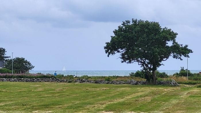 Strandnära stuga norr om Falkenberg