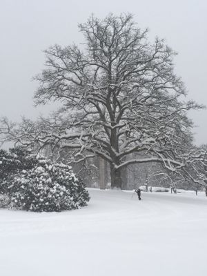 Herrgårdsflygel i blomsterpark (ca 14 pers) - Bild 18